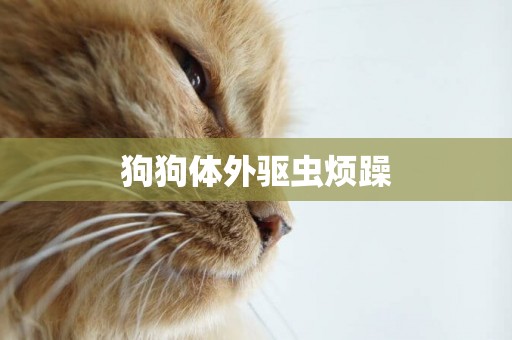 狗狗體外驅蟲煩躁