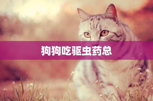狗狗吃驅蟲藥總
