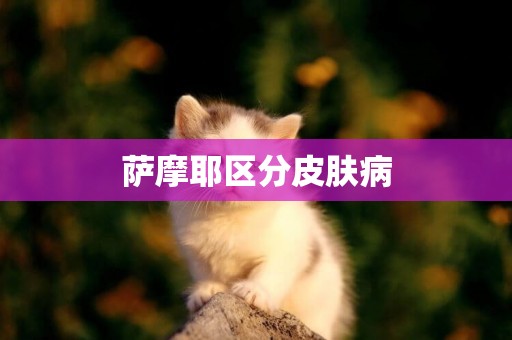 薩摩耶區分皮膚病