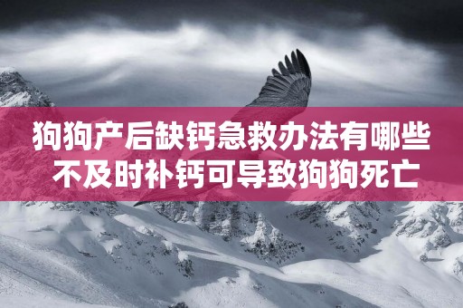 狗狗產后缺鈣急救辦法有哪些 不及時補鈣可導致狗狗死亡