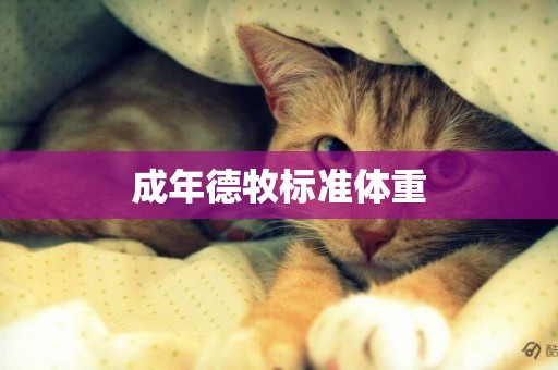 成年德牧標準體重