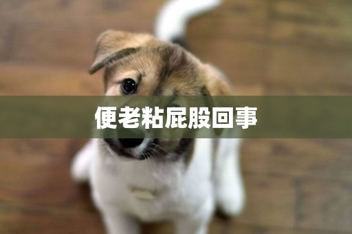 便老粘屁股回事