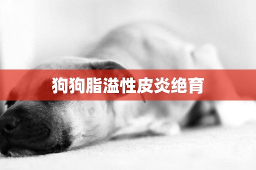 狗狗脂溢性皮炎絕育