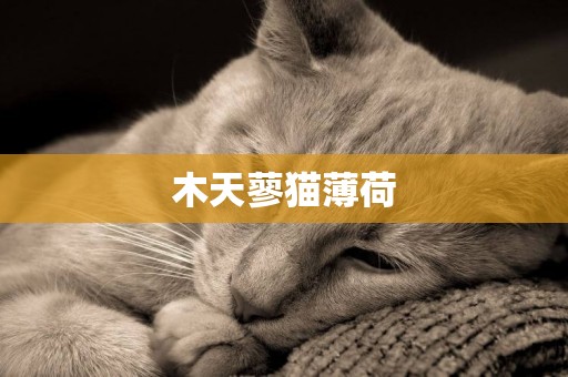 木天蓼貓薄荷