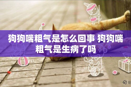 狗狗喘粗氣是怎么回事 狗狗喘粗氣是生病了嗎