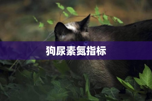 狗尿素氮指標