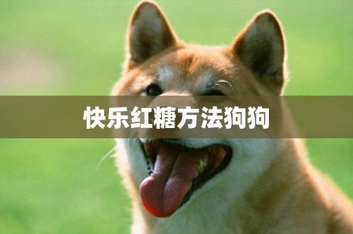 快樂紅糖方法狗狗