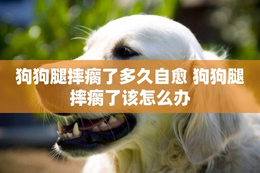 狗狗腿摔瘸了多久自愈 狗狗腿摔瘸了該怎么辦