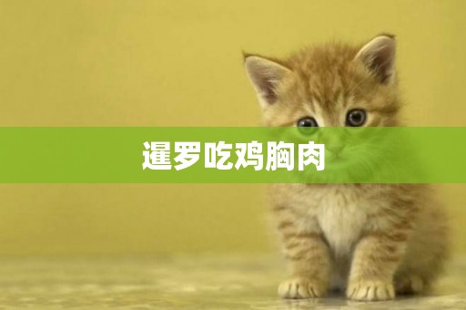 暹羅吃雞胸肉