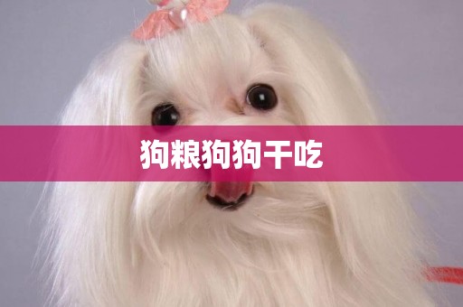 狗糧狗狗干吃