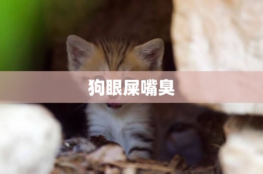 狗眼屎嘴臭