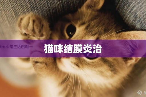貓咪結膜炎治