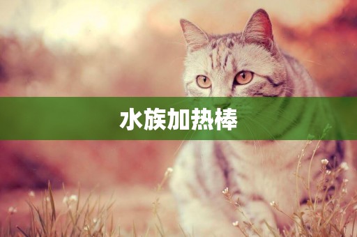 水族加熱棒