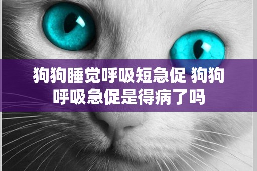 狗狗睡覺呼吸短急促 狗狗呼吸急促是得病了嗎
