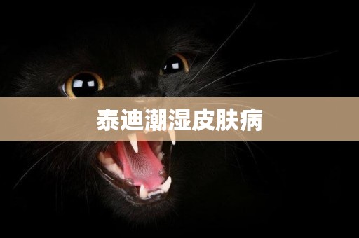 泰迪潮濕皮膚病