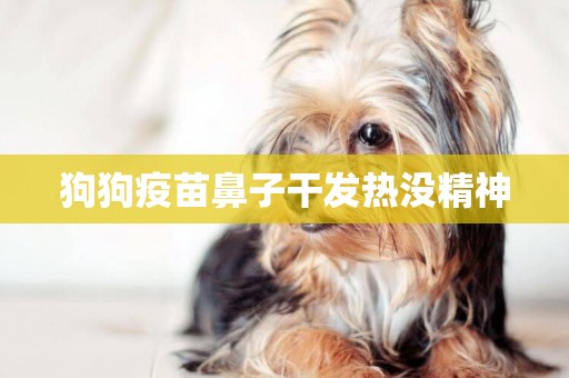狗狗疫苗鼻子干發熱沒精神