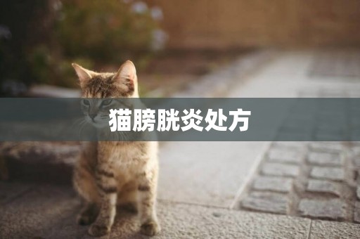 貓膀胱炎處方
