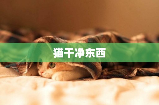 貓干凈東西