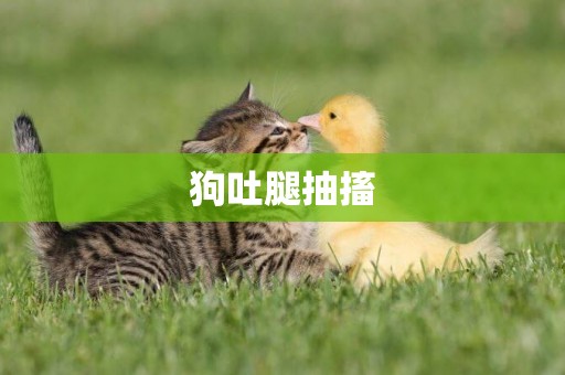狗吐腿抽搐