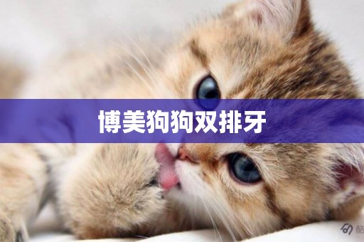 博美狗狗雙排牙