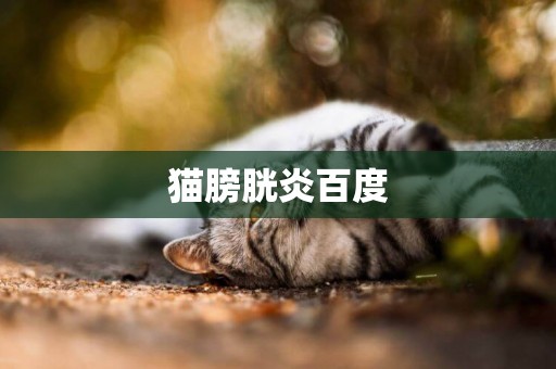 貓膀胱炎百度