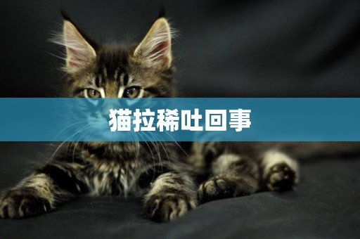 貓拉稀吐回事