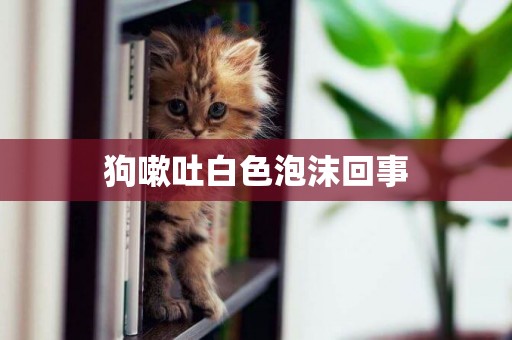 狗嗽吐白色泡沫回事