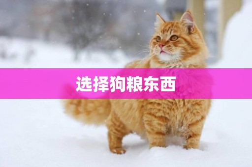 選擇狗糧東西