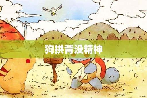 狗拱背沒精神