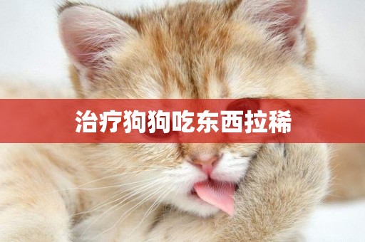 治療狗狗吃東西拉稀