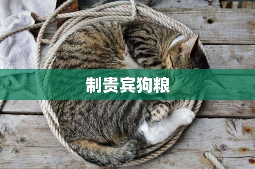 制貴賓狗糧