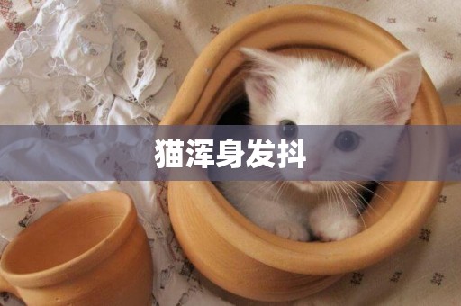 貓渾身發抖