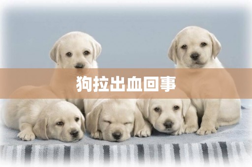狗拉出血回事