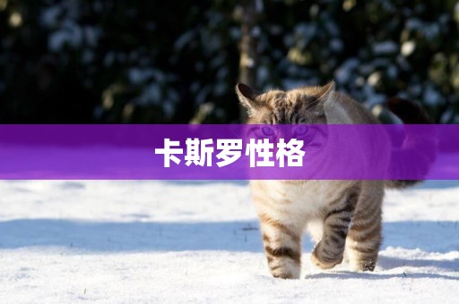 卡斯羅性格