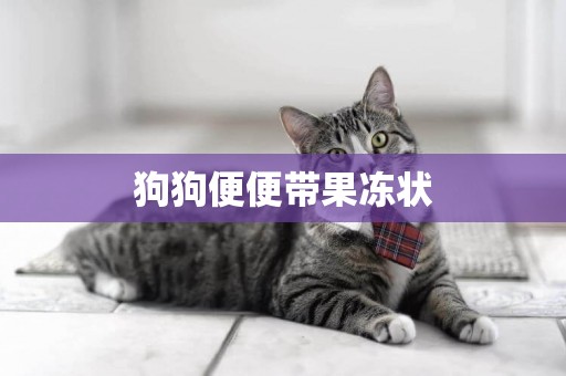 狗狗便便帶果凍狀