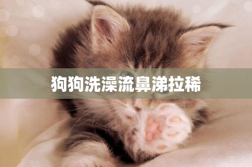 狗狗洗澡流鼻涕拉稀