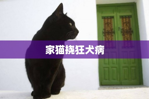 家貓撓狂犬病