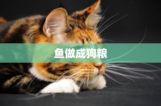 魚做成狗糧