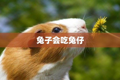 兔子會吃兔仔