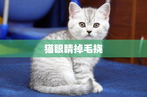 貓眼睛掉毛撓