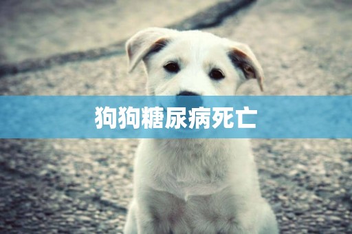 狗狗糖尿病死亡