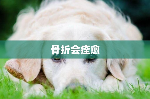骨折會痊愈