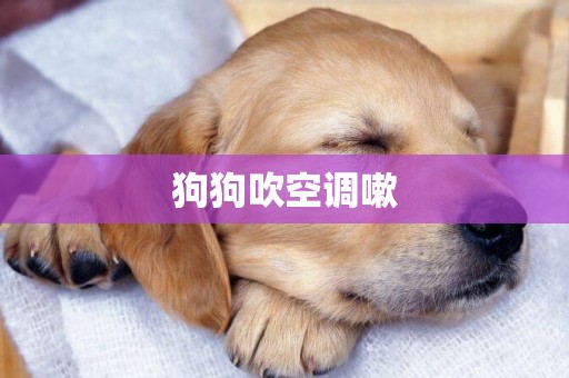 狗狗吹空調嗽