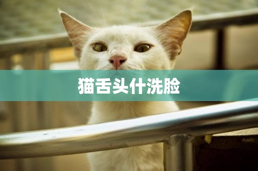 貓舌頭什洗臉