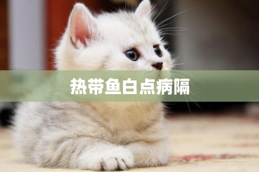 熱帶魚白點病隔