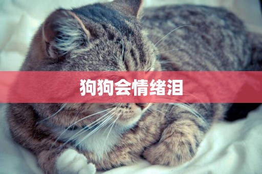 狗狗會情緒淚