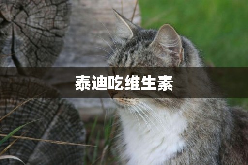 泰迪吃維生素