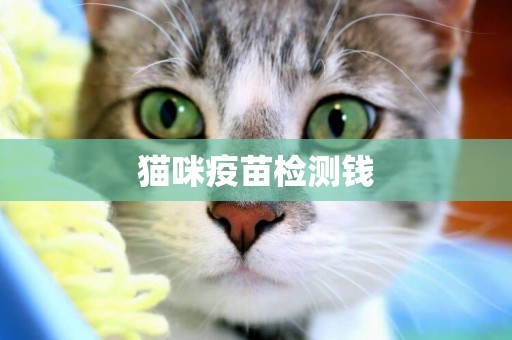 貓咪疫苗檢測錢