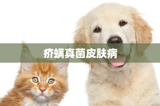 疥螨真菌皮膚病