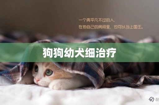 狗狗幼犬細治療